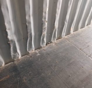 1031171-1onzsiar6xttgzyisvh6fiko6mhv-usi6
